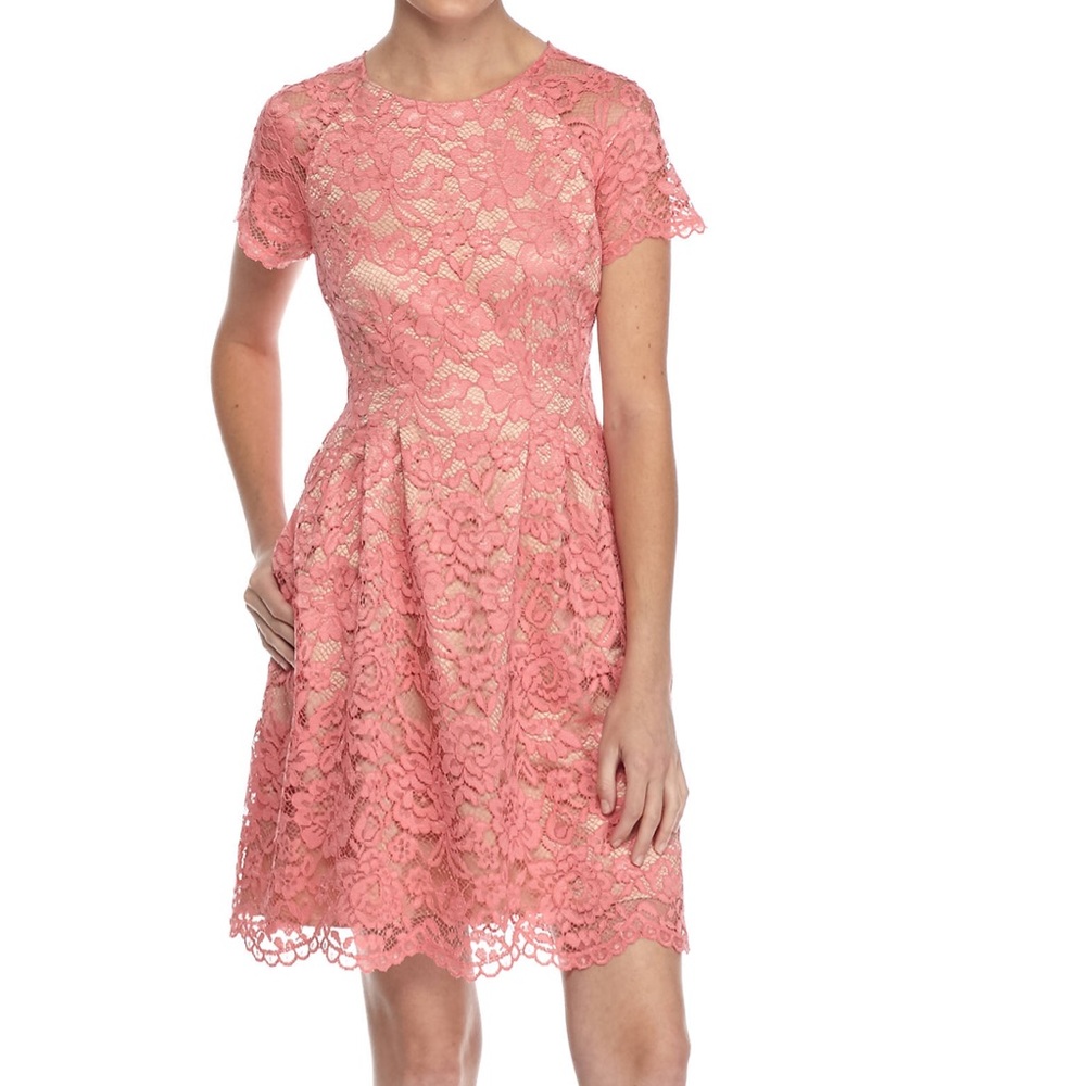 NWT Vince Camuto pink lace fit and flare dress 8